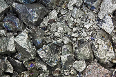 懵V�x�V�ĺ��Ĺ�ˇ����������